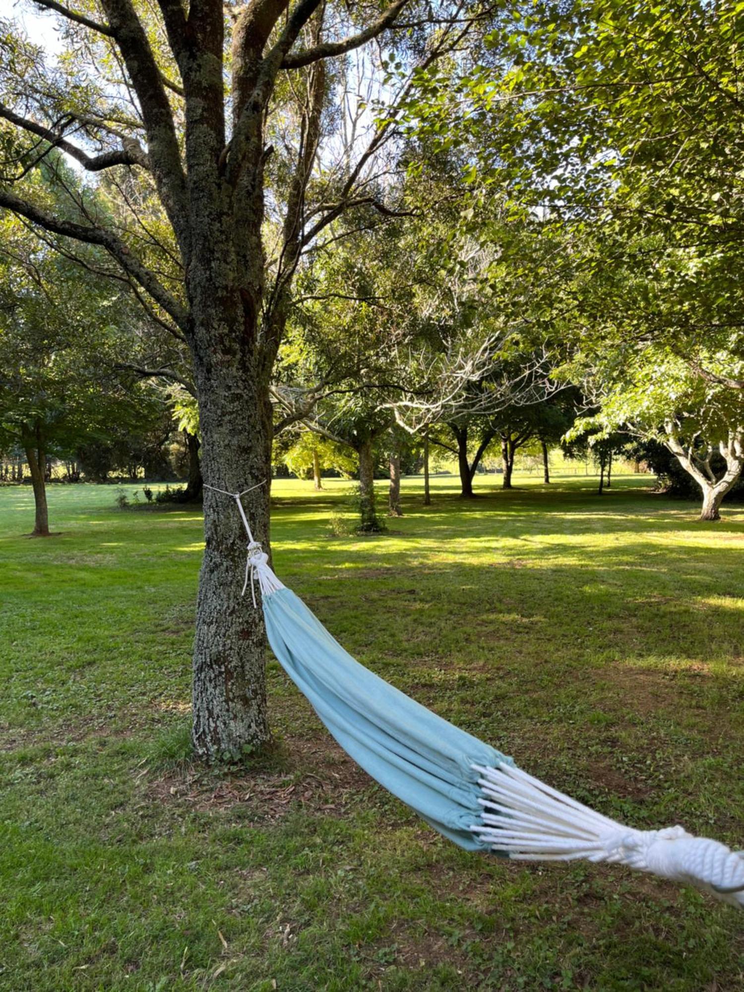 Pond Road Park - Raglan Exterior foto